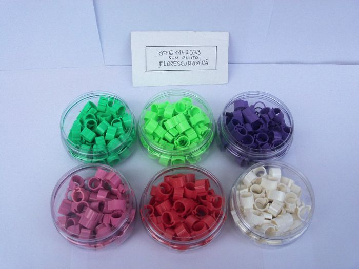 Copy (2) of Copy of cleme bricon 2013 009