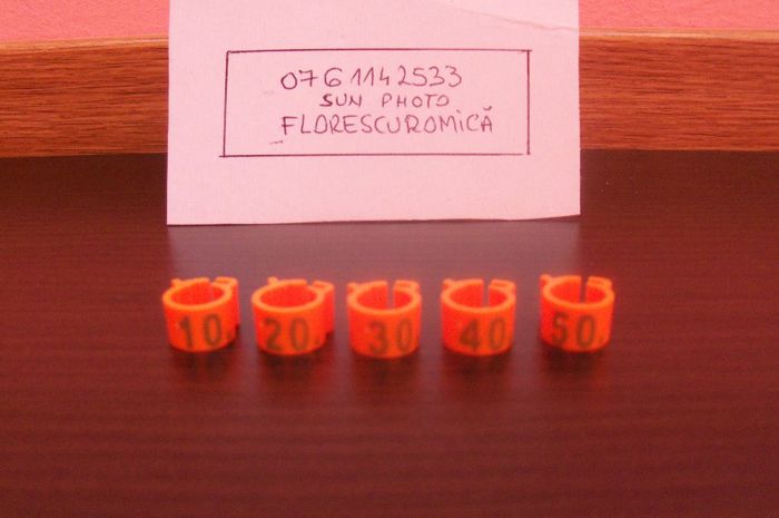 Copy (7) of inele si cleme porumbei 430