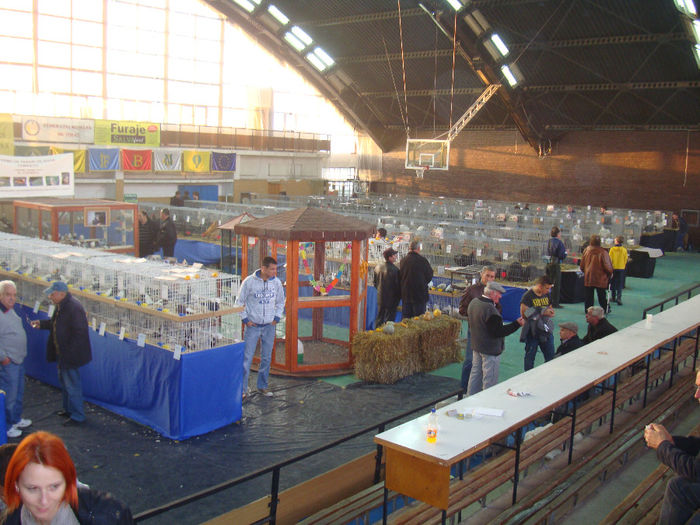 DSC08437 - u EXPOFAUNA BUCURESTI NOIEMBRIE 2013