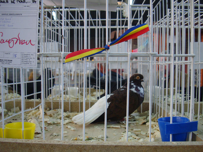 DSC08480