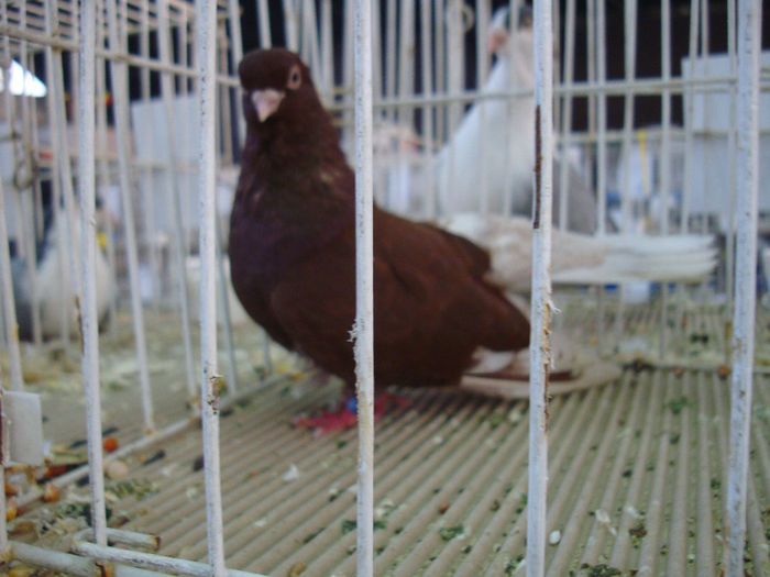 DSC08491