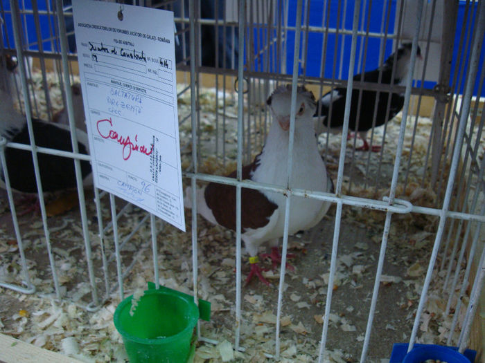 DSC08540