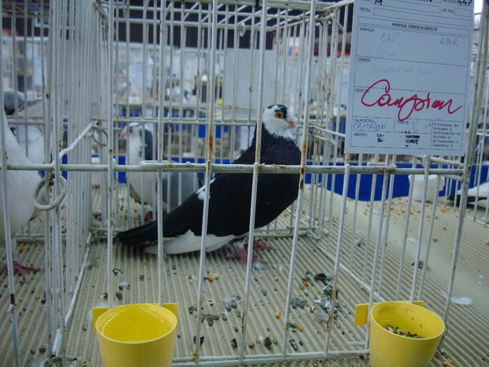 DSC08549
