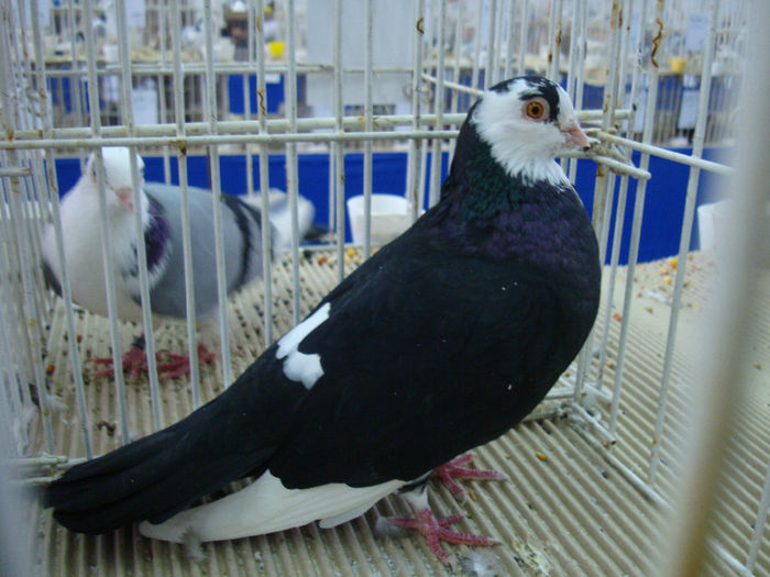DSC08550