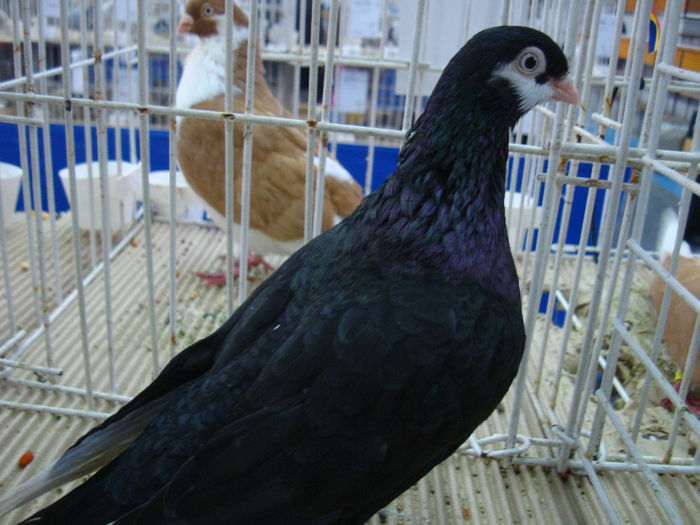 DSC08555