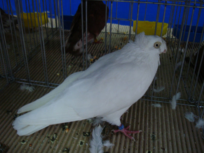 DSC08558