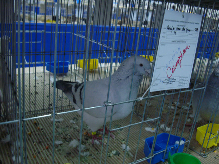 DSC08563
