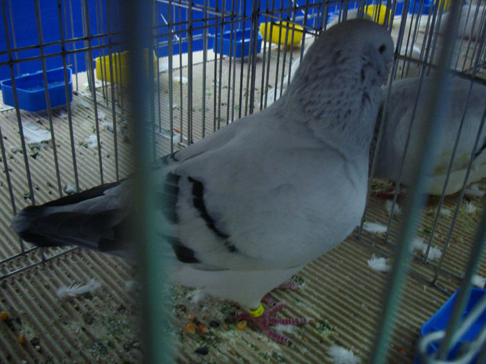 DSC08564