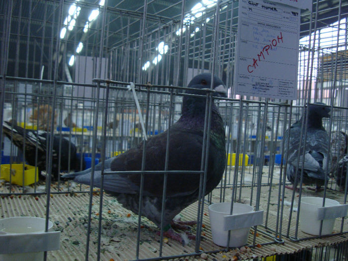 DSC08588