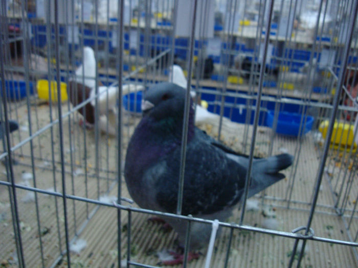 DSC08591