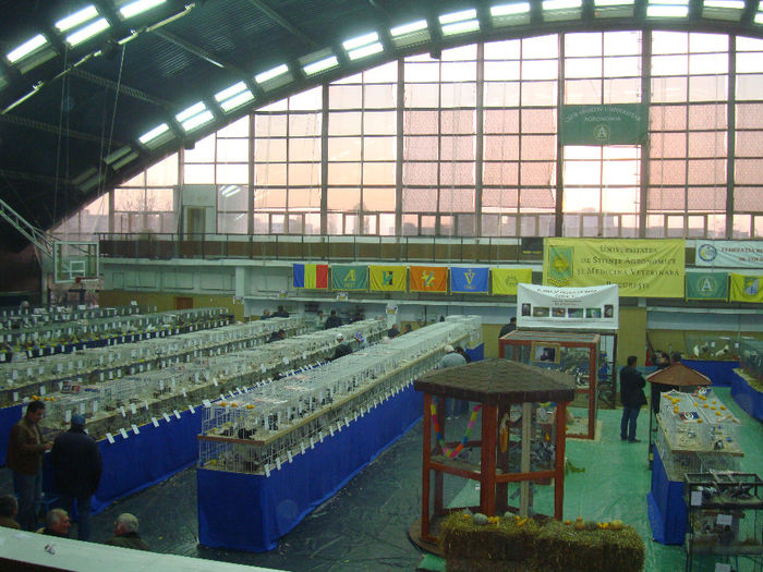 DSC08603