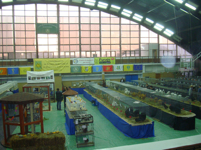 DSC08604