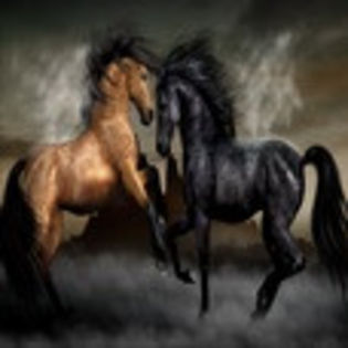 avatare_animale_253