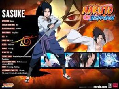 sasuke - concurs 6