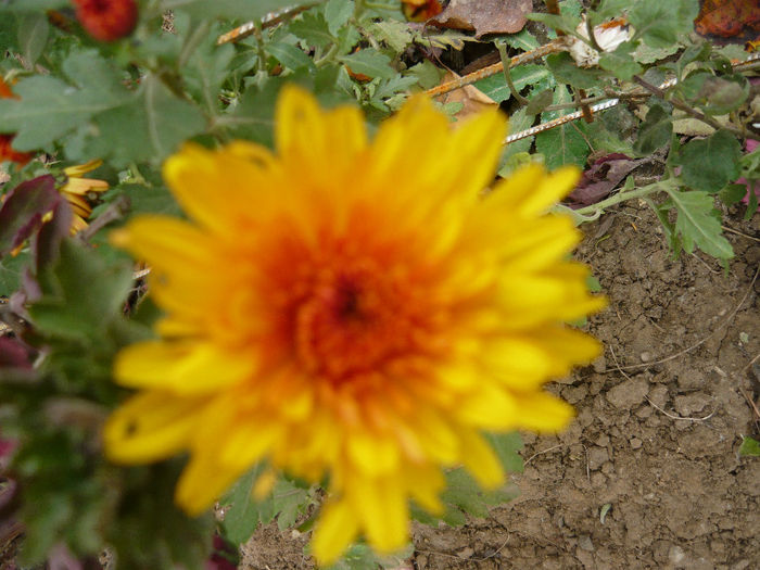 P1050404