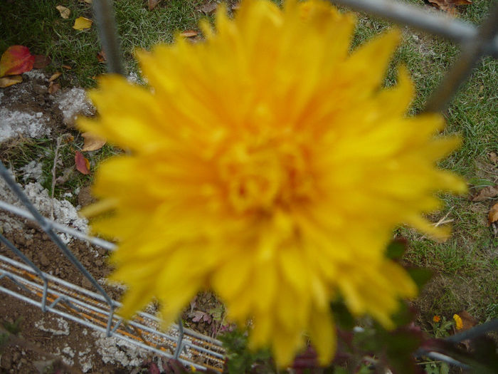 P1050406