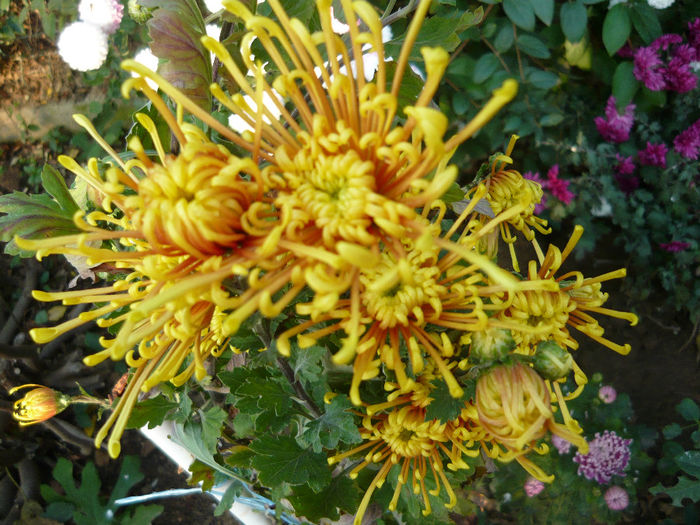 P1050484