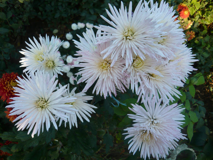 P1050487