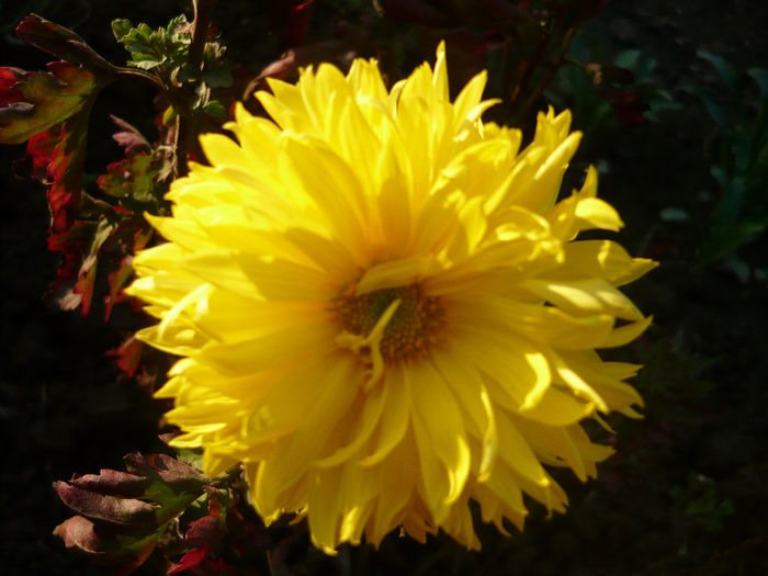 P1050491