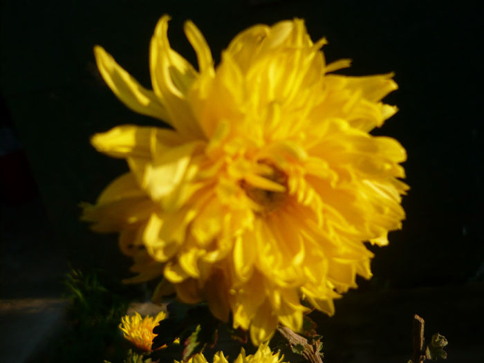 P1050492
