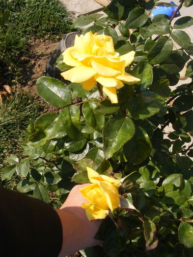 DSCF0036