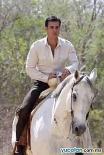 1463943_578282335571100_863383709_n - david zepeda