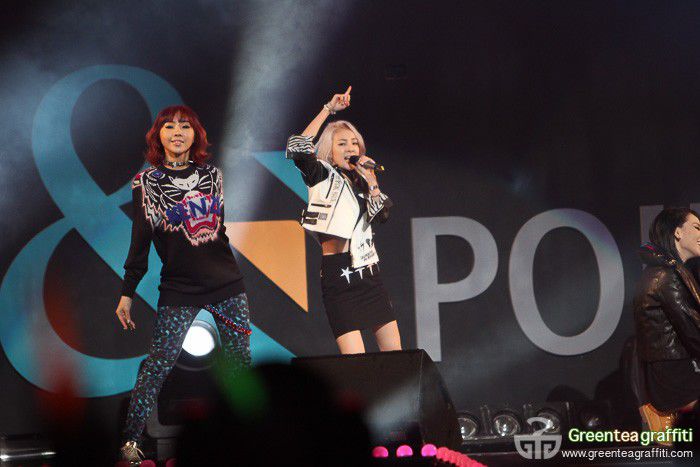 67 - CONCERTE 2NE1