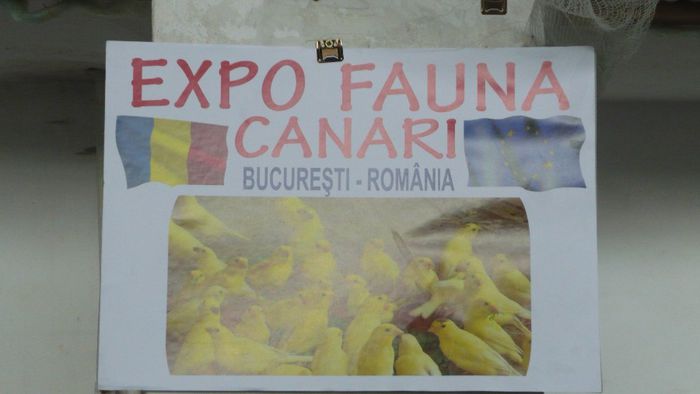 P1060353 - EXPO FAUNA 2013