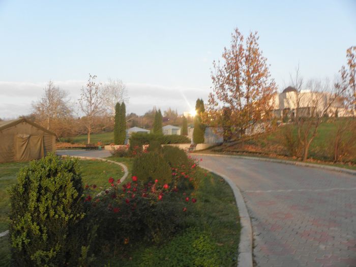 PB170054 - expo galati nov 2013
