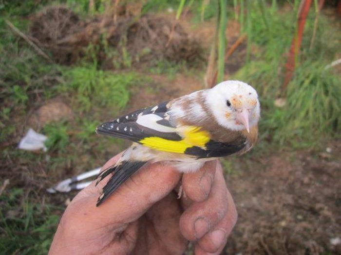 9373_550989068288220_737051456_n