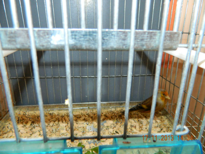 DSCN4496
