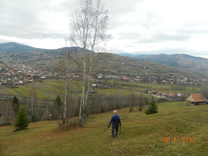 Tata m-a ajutat sa-mi iau mesteceni si pt. gradina de la Brasov...