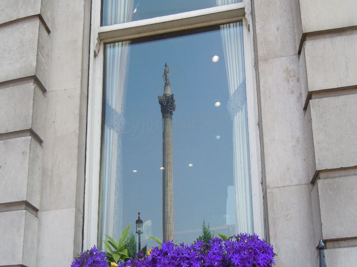 Nelson's Column - Ferestre