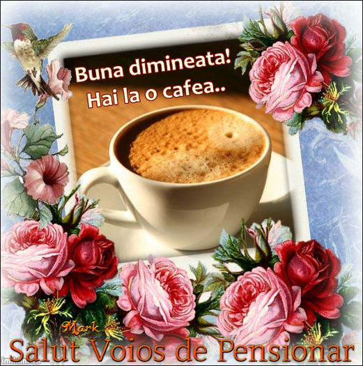 cafeaua de dimineata; Buna ziua si bine v-am gasit dragi prieteni.Va invit la o cafea pe forumul nostru www.svdp.forumactual.com precum si pe pagina noastra de facebook www.facebook.com/paginasalutvoiosdepensionar .
