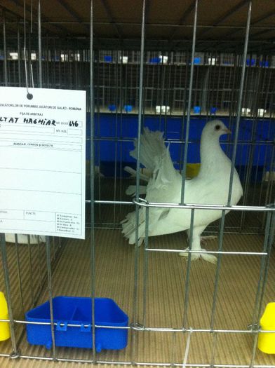 IMG_1494 - Expozitie 2013 - Expofauna