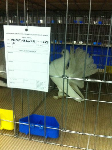 IMG_1498 - Expozitie 2013 - Expofauna