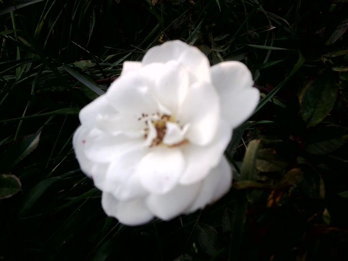 Fotografie9216 - talmes-balmes 2013