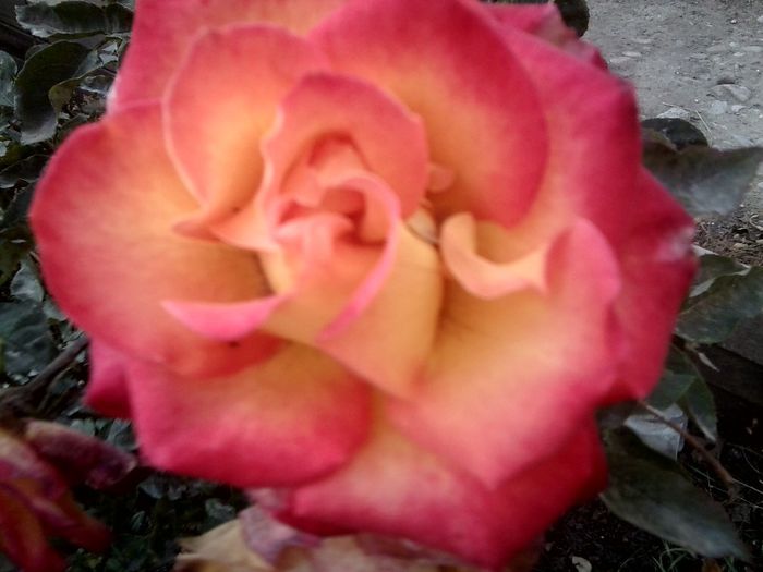 Fotografie9221 - talmes-balmes 2013