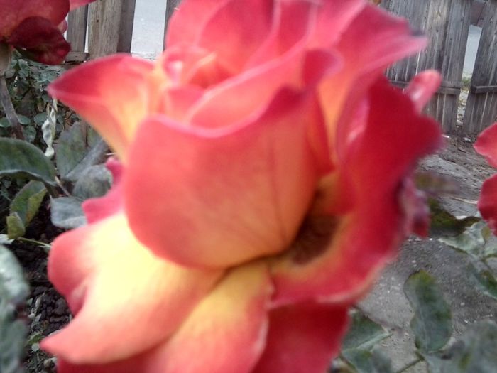 Fotografie9224 - talmes-balmes 2013