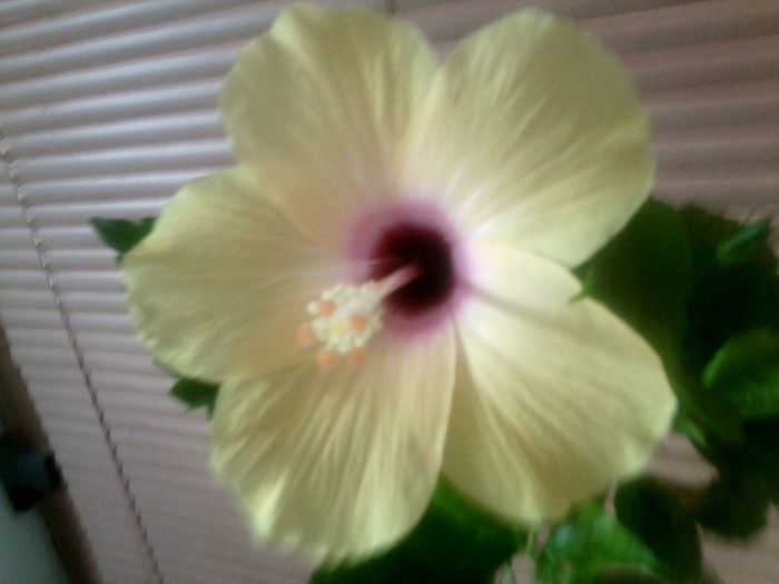 Fotografie9231 - talmes-balmes 2013