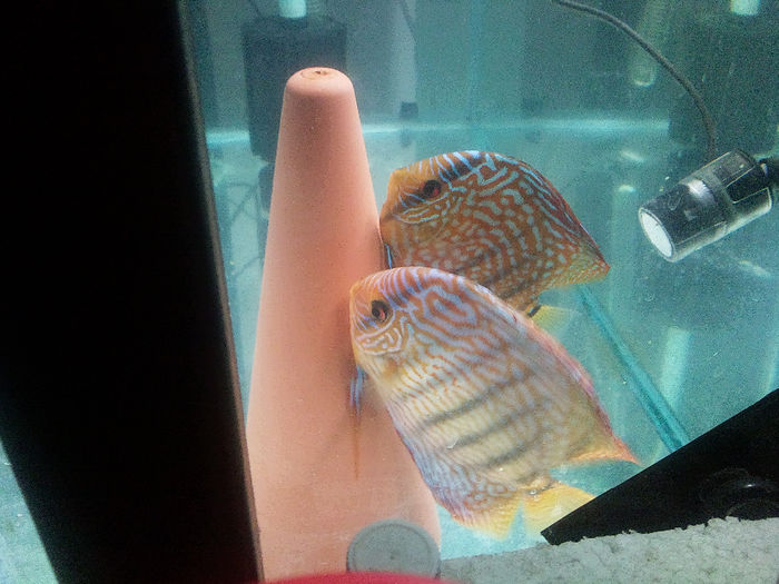 Photo1174; 18-11-2013
