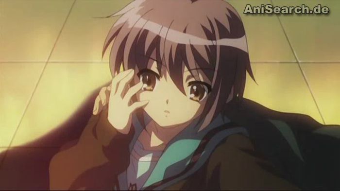yuki 8