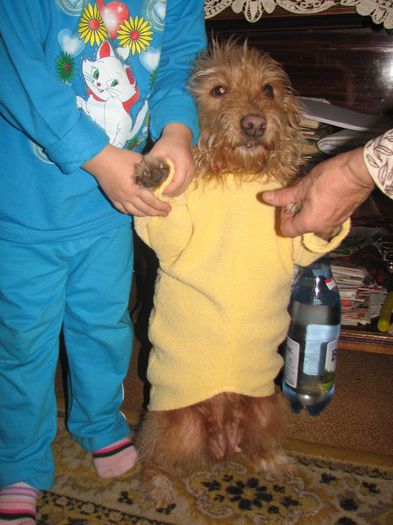 luluta, a murit; waw
