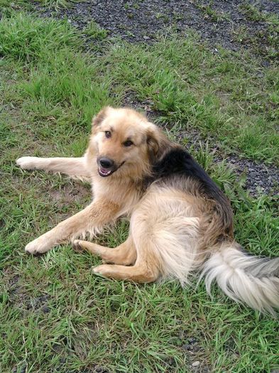 blanosul; din pacate...nu mai e
