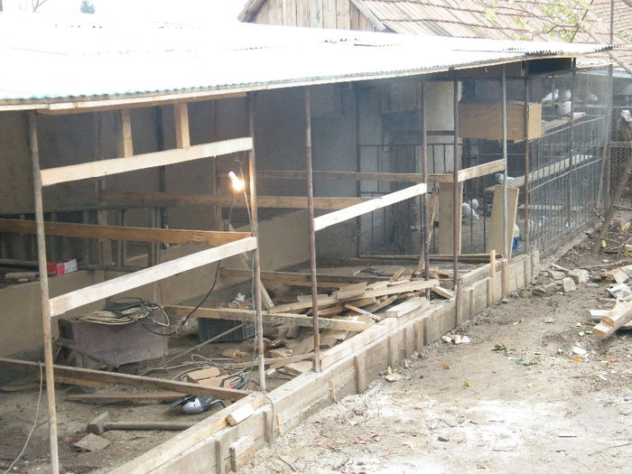 Galambocskak 275 - Voliera in contructie