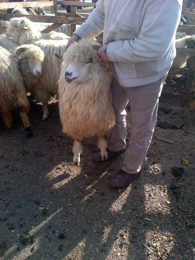 IMG-20131110-00919
