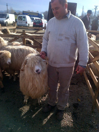 IMG-20131110-00920 - oi bale