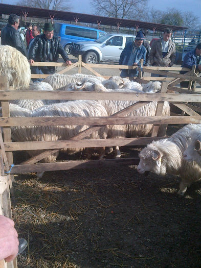 IMG-20131110-00925 - oi bale