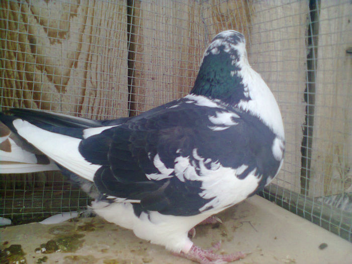 Fotografie1788.Fem.2011.