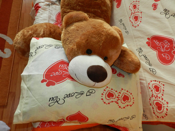 DSCN6436 - CASA DIN NORI